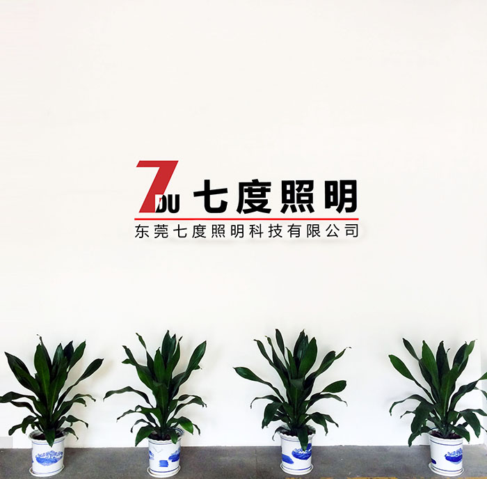 东莞麻豆视频下载照明前台LOGO