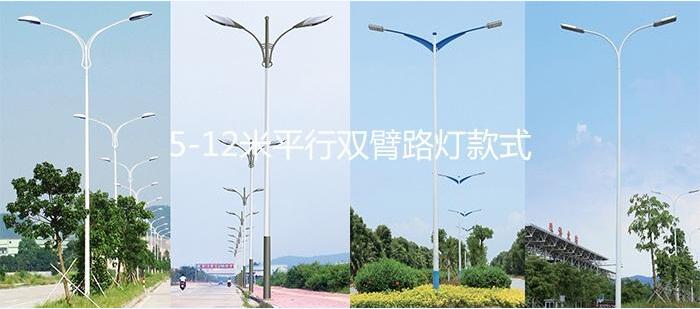 麻豆视频下载照明8米LED路灯双臂97麻豆国产传媒成人影片样式图片大全