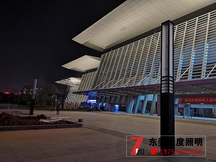 东莞市民服务中心中心广场方形麻豆最新网址柱安装效果图片