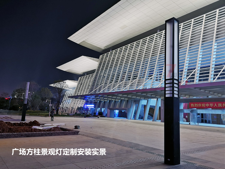 东莞市民服务中心广场中轴定制麻豆最新网址安装实拍效果